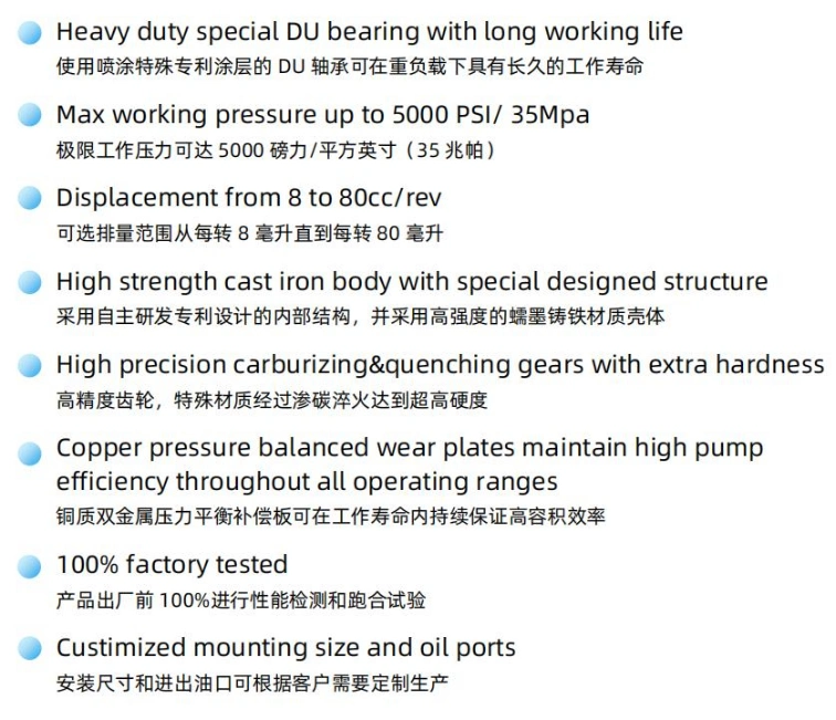 Bucher Ap312HP Series Hydraulic Gear Pump