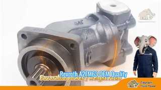 OEM-Qualität A2FM63 Rexroth Serie 6 Axialkolben-Festmotor, Fabrikpreis, schneller Versand, Schaufenster