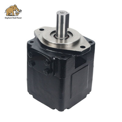 T6E-066-1R00-C1 Vanepumpen und Teile aus China