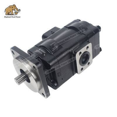 D149283 Parker Gusseisen-Zahnradpumpen-kompatible Alternative | Perfekt kompatibel